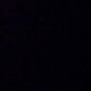 Meet your Posher, Shane